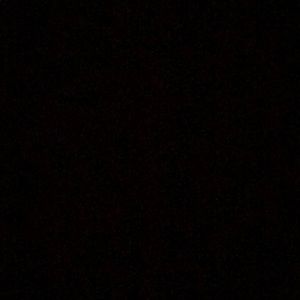 Meet your Posher, Barney